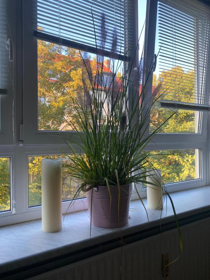 Central City Privatapartment Relax-Inn, Netflix & Sky Tv! Hannover Buitenkant foto
